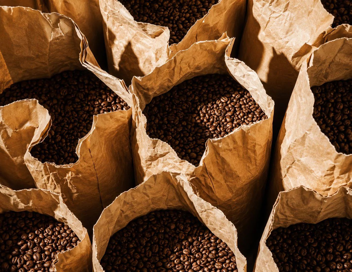 Des sacs en papier remplis de grains de café torréfiés